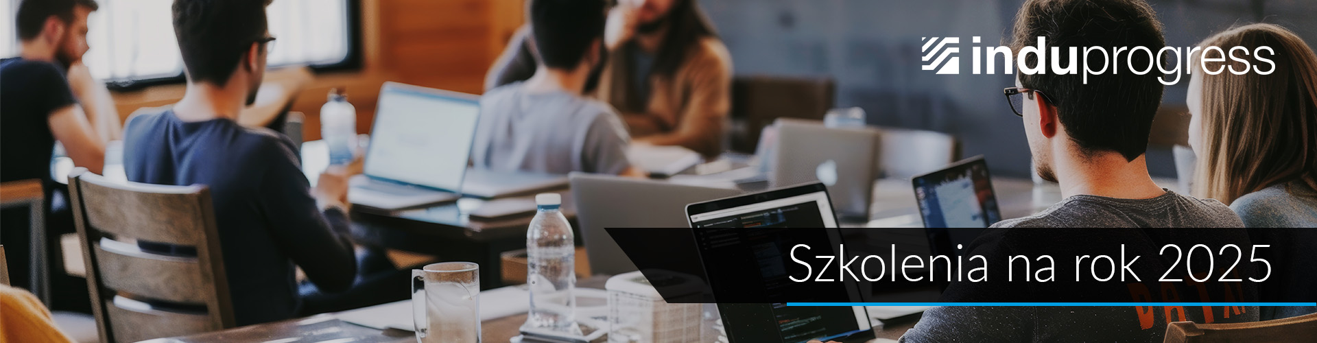 Szkolenia 2025 banner szkolenia induprogress 2025